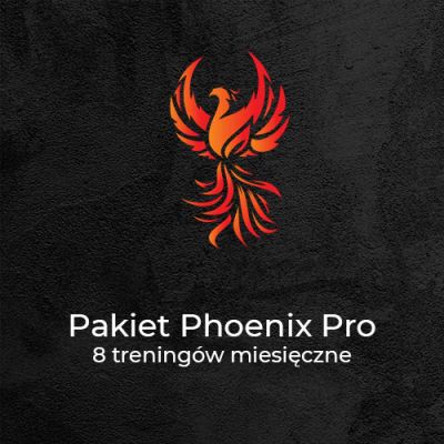 pakiet-phoenix-pro-67ea680a7a7993.09501540.jpg