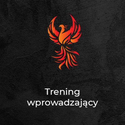 pakietwprowadzenie-67ea3a9a5e89c3.32837184.jpg